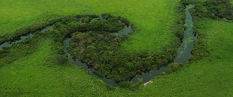 Meandering river, Amazon.
© WWF - Gustavo YBARRA rel=