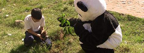 El Panda ayudando a plantar arbolitos
© WWF - Cinthya Duarte El Panda ayudando a plantar arbolitos rel=