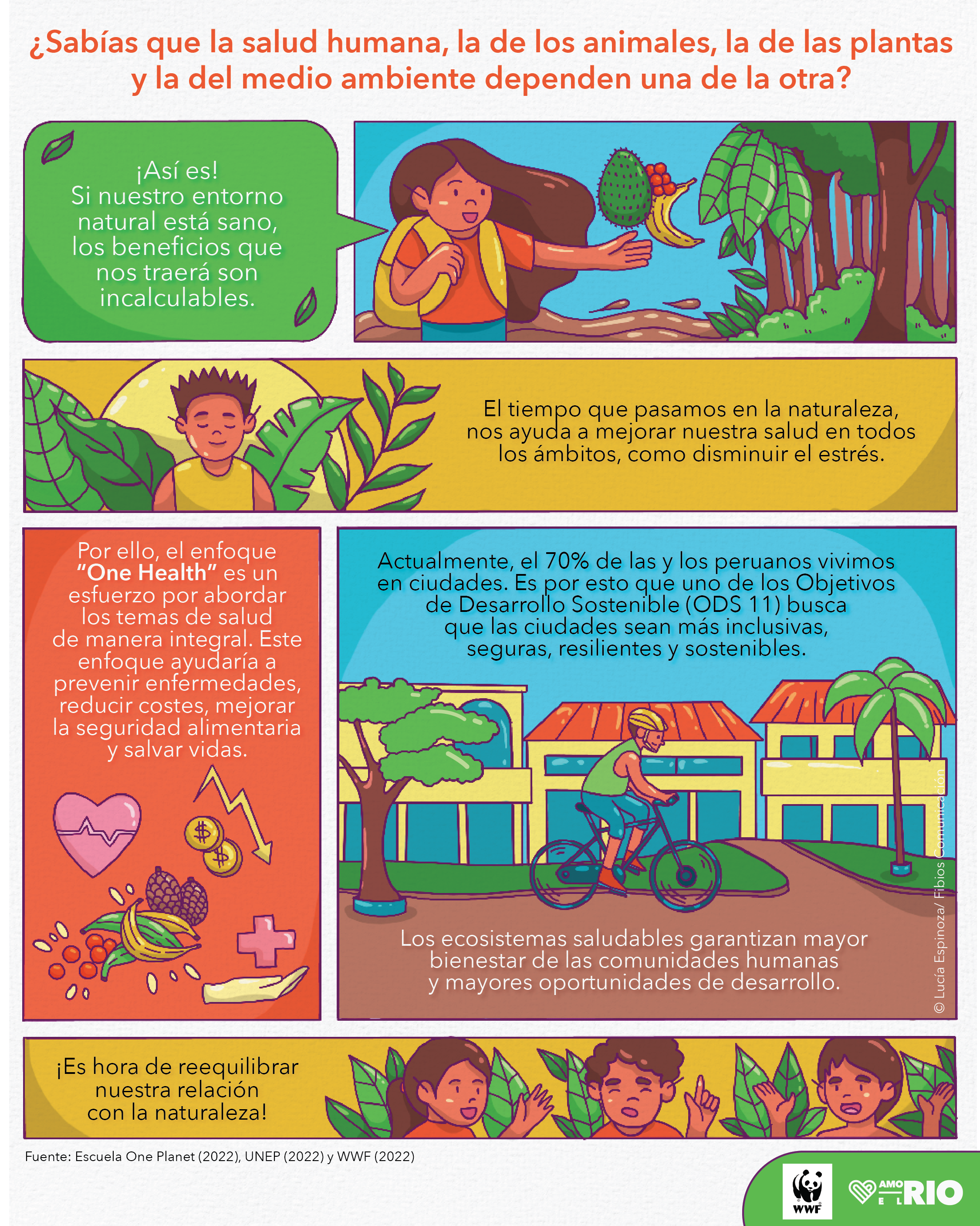 Infografías de ríos libres, ríos sanos, ríos vivos y ríos limpios | WWF