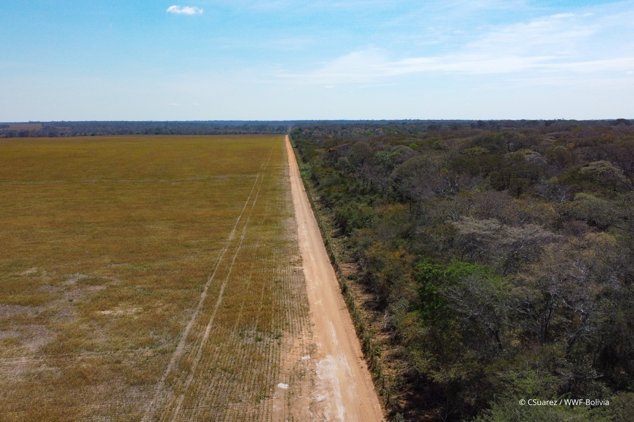 A la izquierda una propiedad ganadera que deforesta, a la derecha la propiedad Cacarachi Santa Clara, que realiza ganadería agroecológica