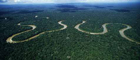 Oportunidades regionales de conservación en el Bioma Amazónico | WWF