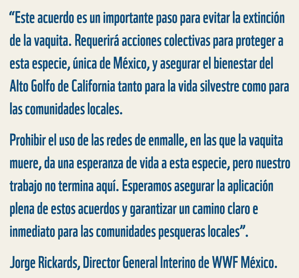 Cita del Director General Interino de WWF México sobre el Memorandum de Entendimiento firmado hoy para evitar la extinción de la vaquita. 