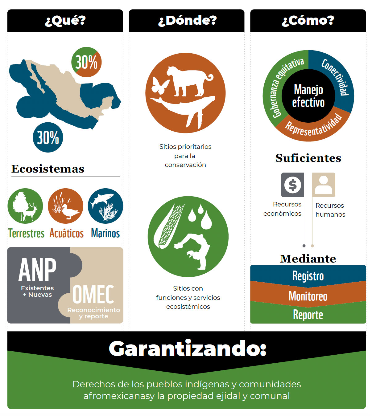 Representación esquemática de la Meta 30x30 para México.
