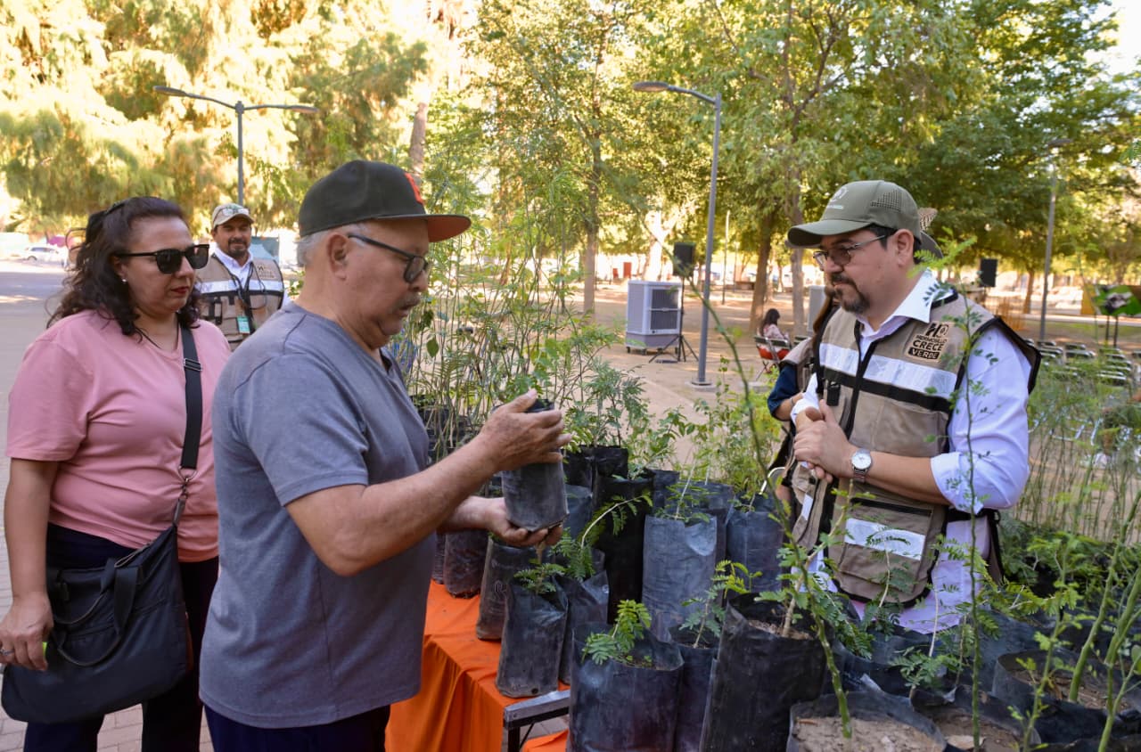 Acciones de sostenibilidad implementadas por el Municipio de Hermosillo