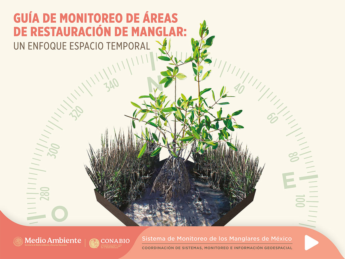 Portada de la Guía de monitoreo de áreas de restauración de manglar