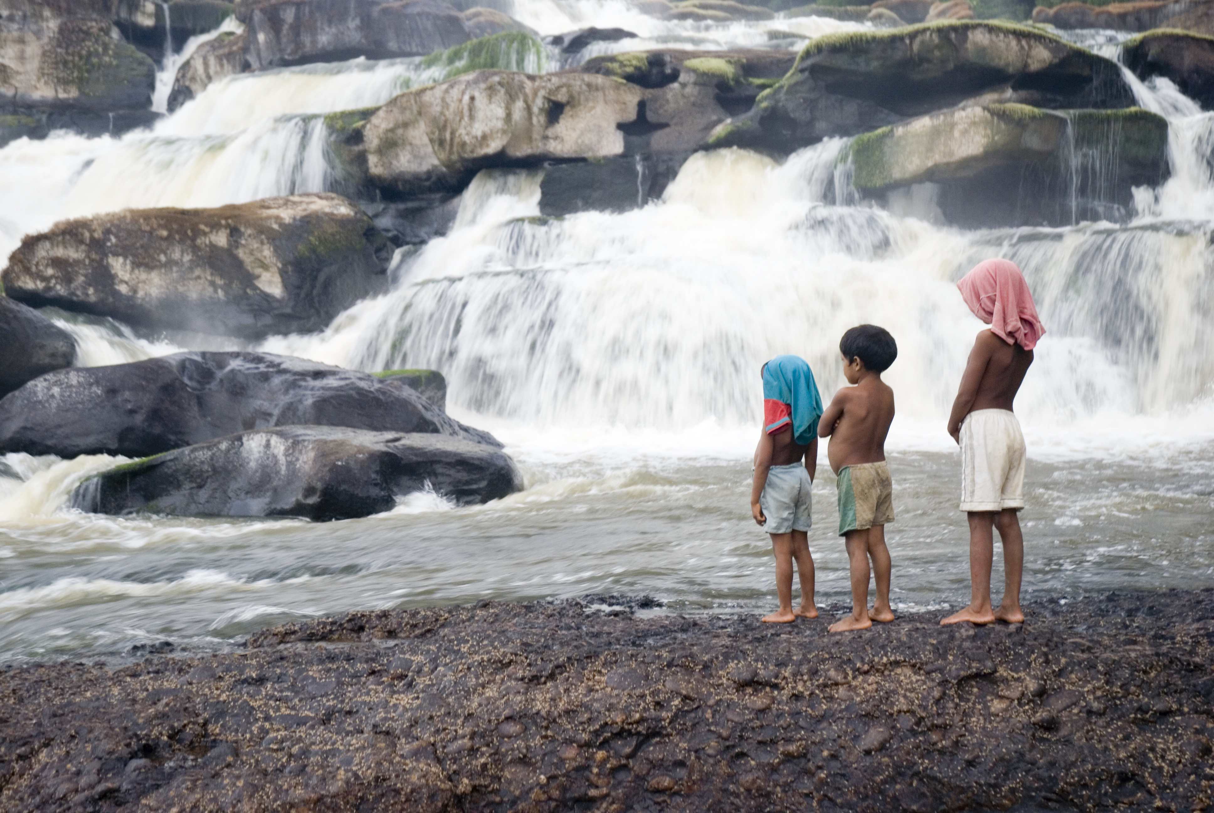 Revive la historia de Schultes y el Apaporis, esta vez en cine | WWF