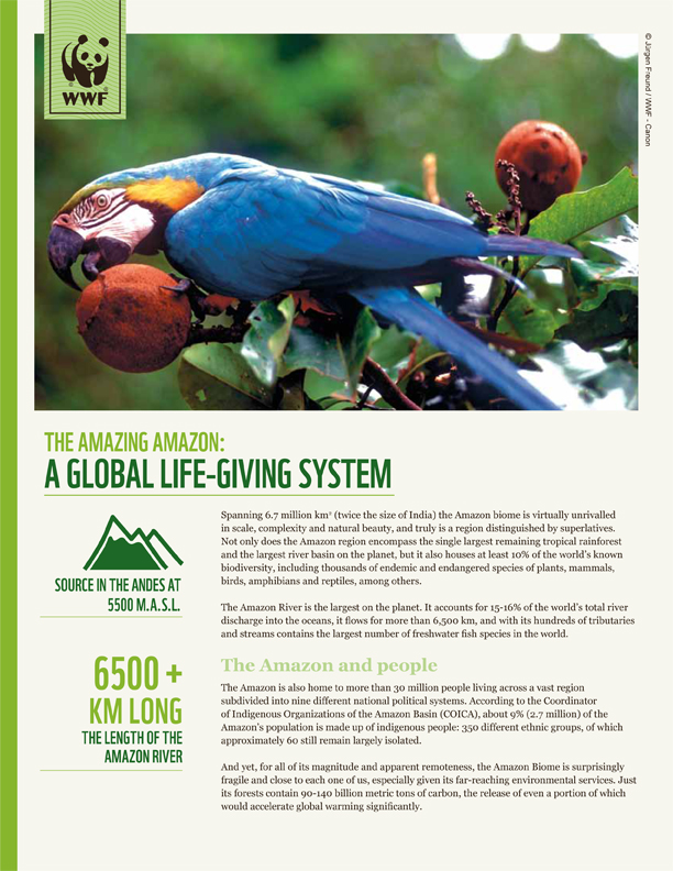 Living Amazon Initiative: A Global Life-giving System | WWF