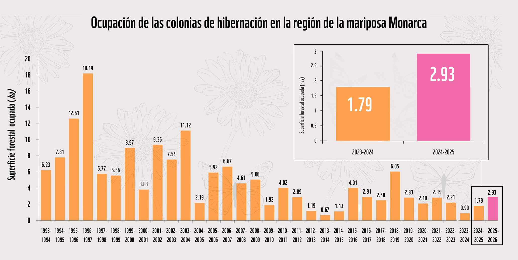 Gráfico de la ocupación de las colonias de mariposa monarca en la Reserva de la Biosfera Mariposa Monarca en México, 2024-2025