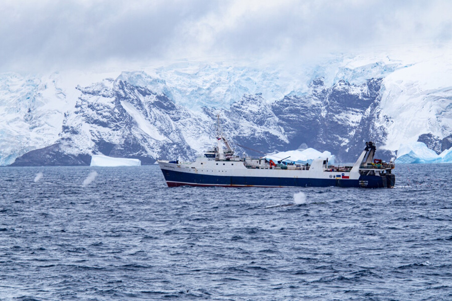 WWF pide una moratoria a la pesca de krill tras el fracaso de las negociaciones para proteger a los diminutos “superhéroes” de la Antártica