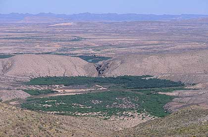 Humedales en el Río Conchos, cerca de su confluencia con el Río Grande/Bravo en la frontera México-EEUU.