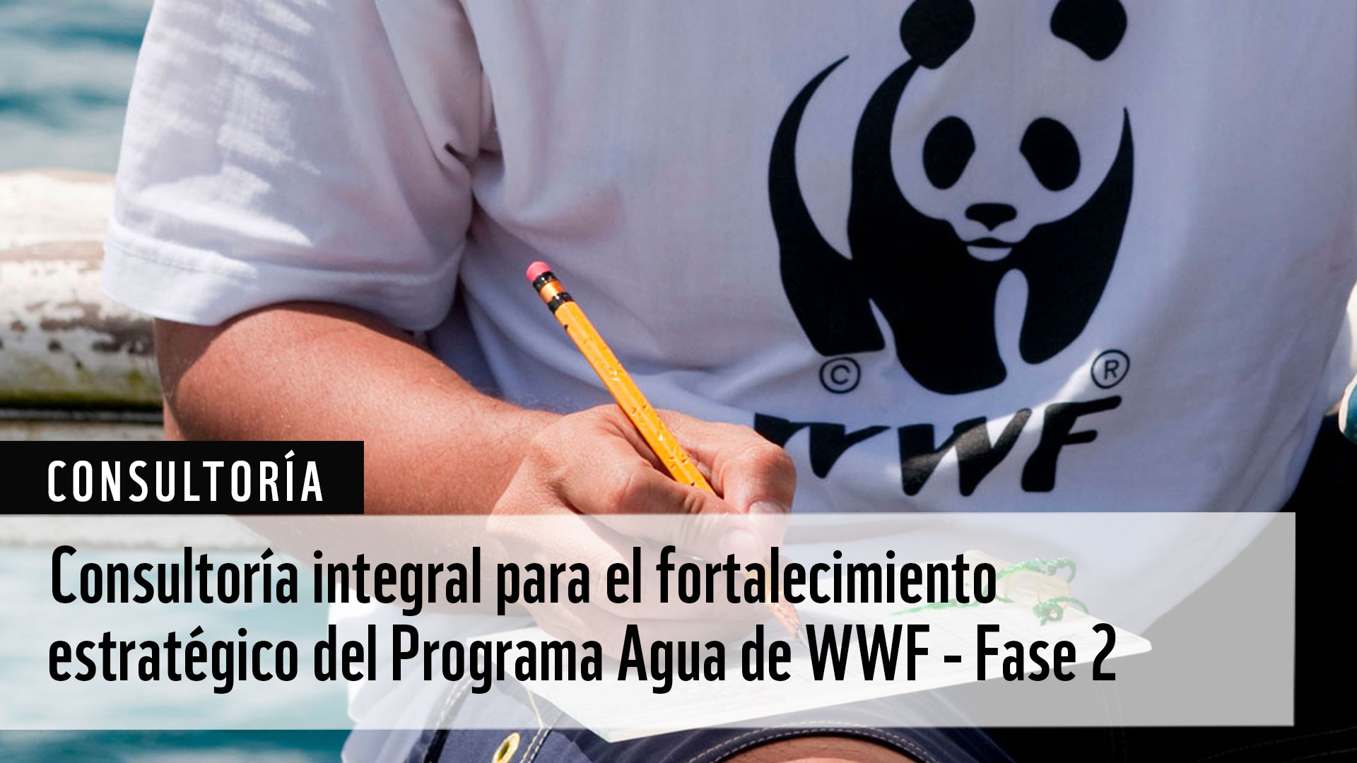 Consultoría