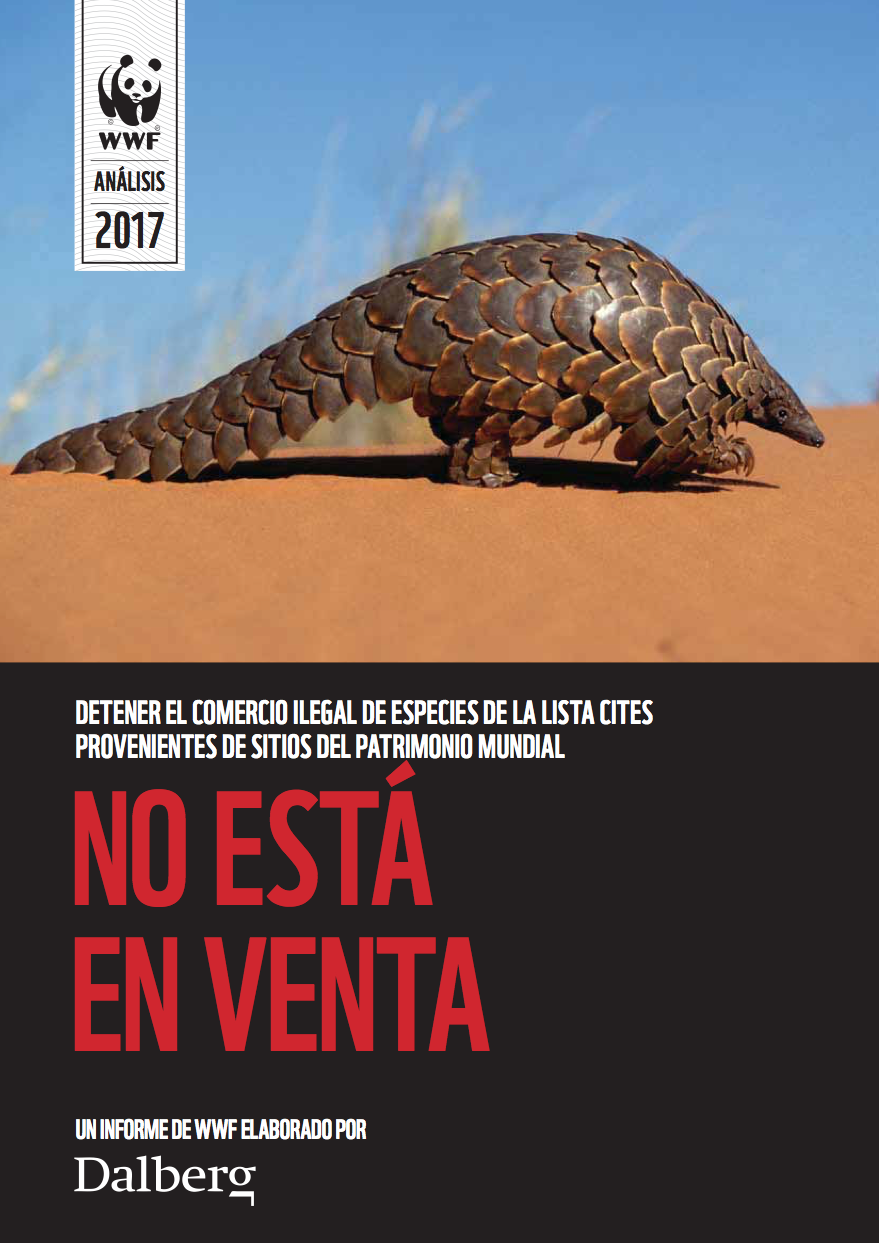 Informe 