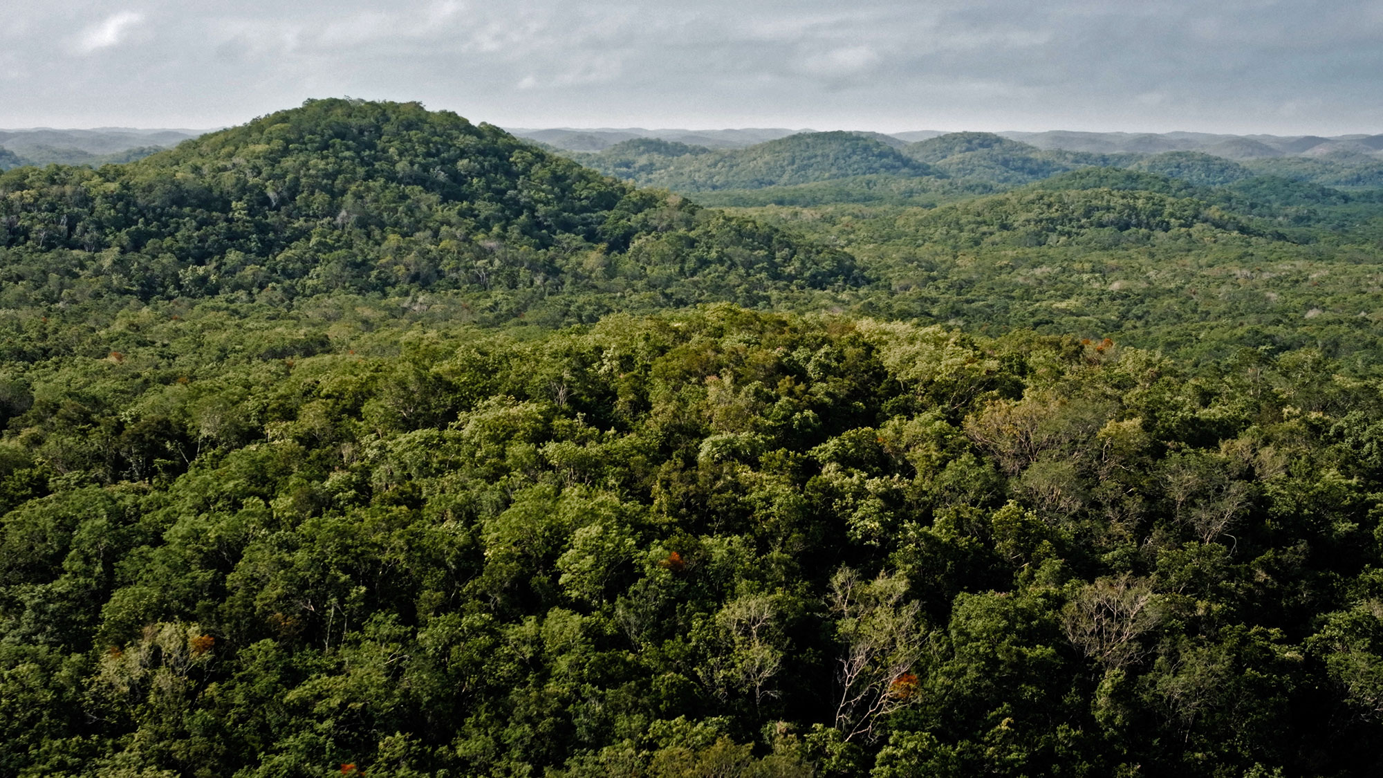Foto: Región Puuc, Yucatán.