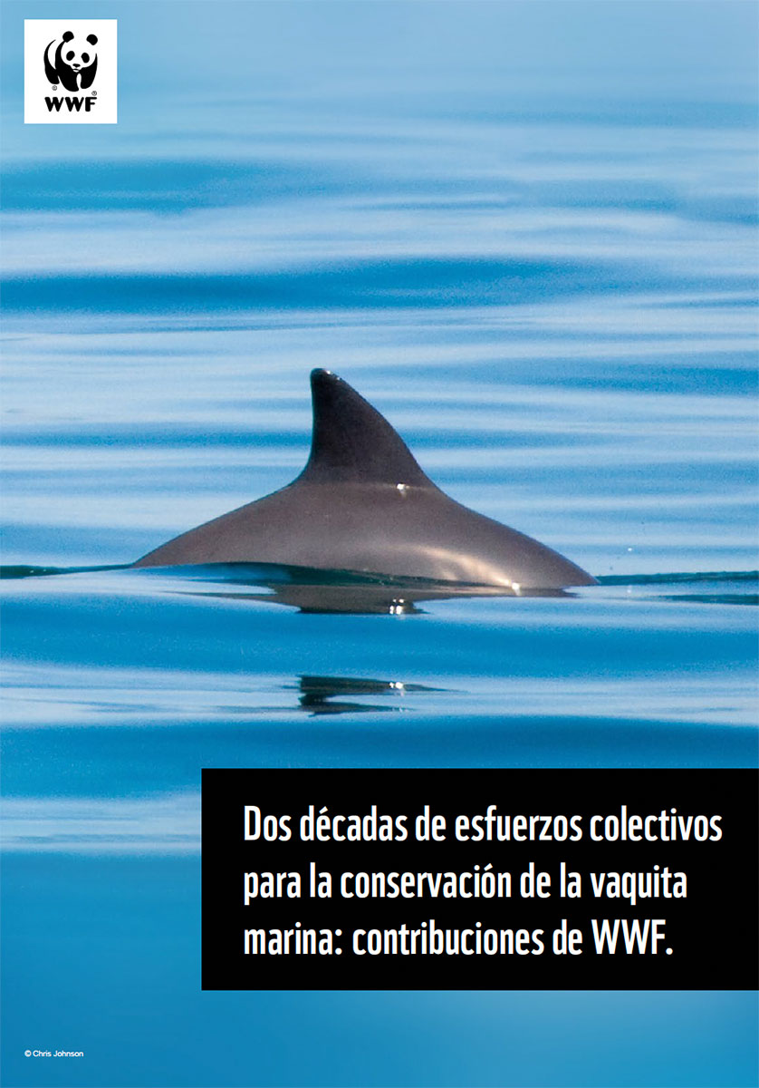 Portada del documento 