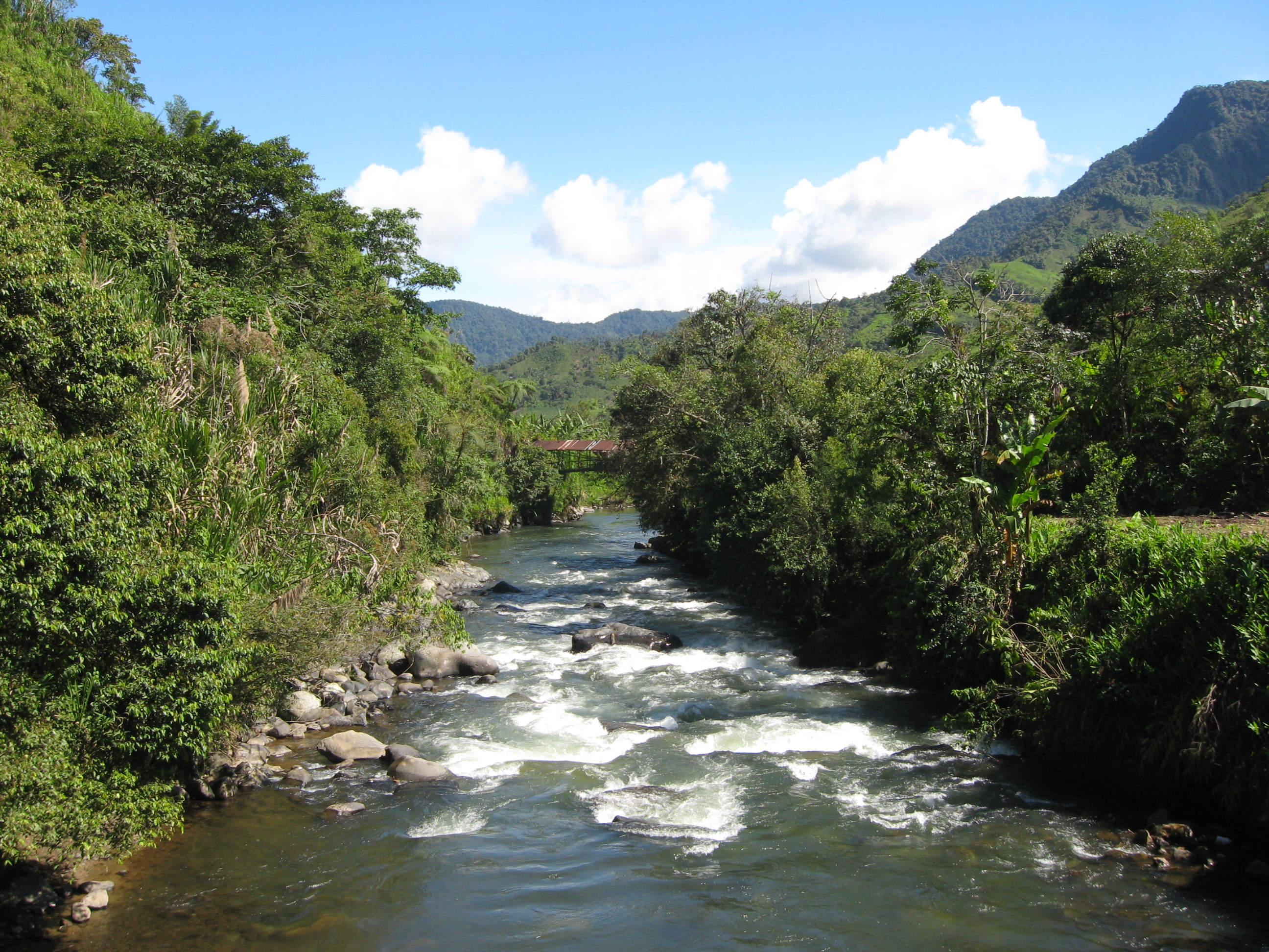 La cuenca del río Guiza, un ejemplo a seguir WWF