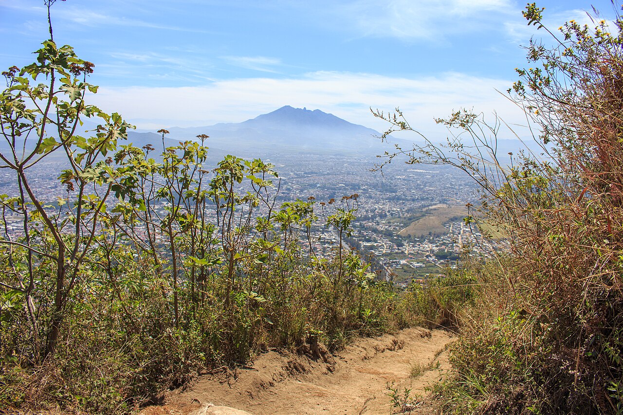 Foto: Sendero en la Sierra de San Juan, Nayarit