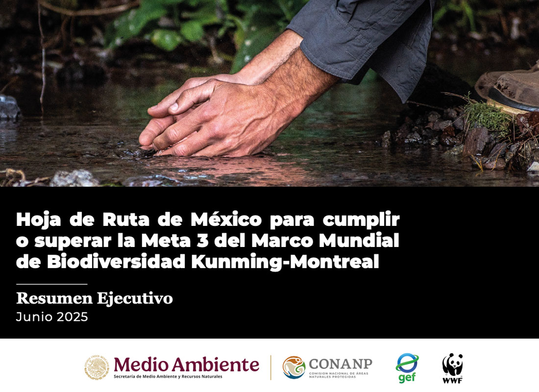 Hoja de Ruta de México para cumplir o superar la Meta 3 del Marco Mundial de Biodiversidad Kunming-Montreal
