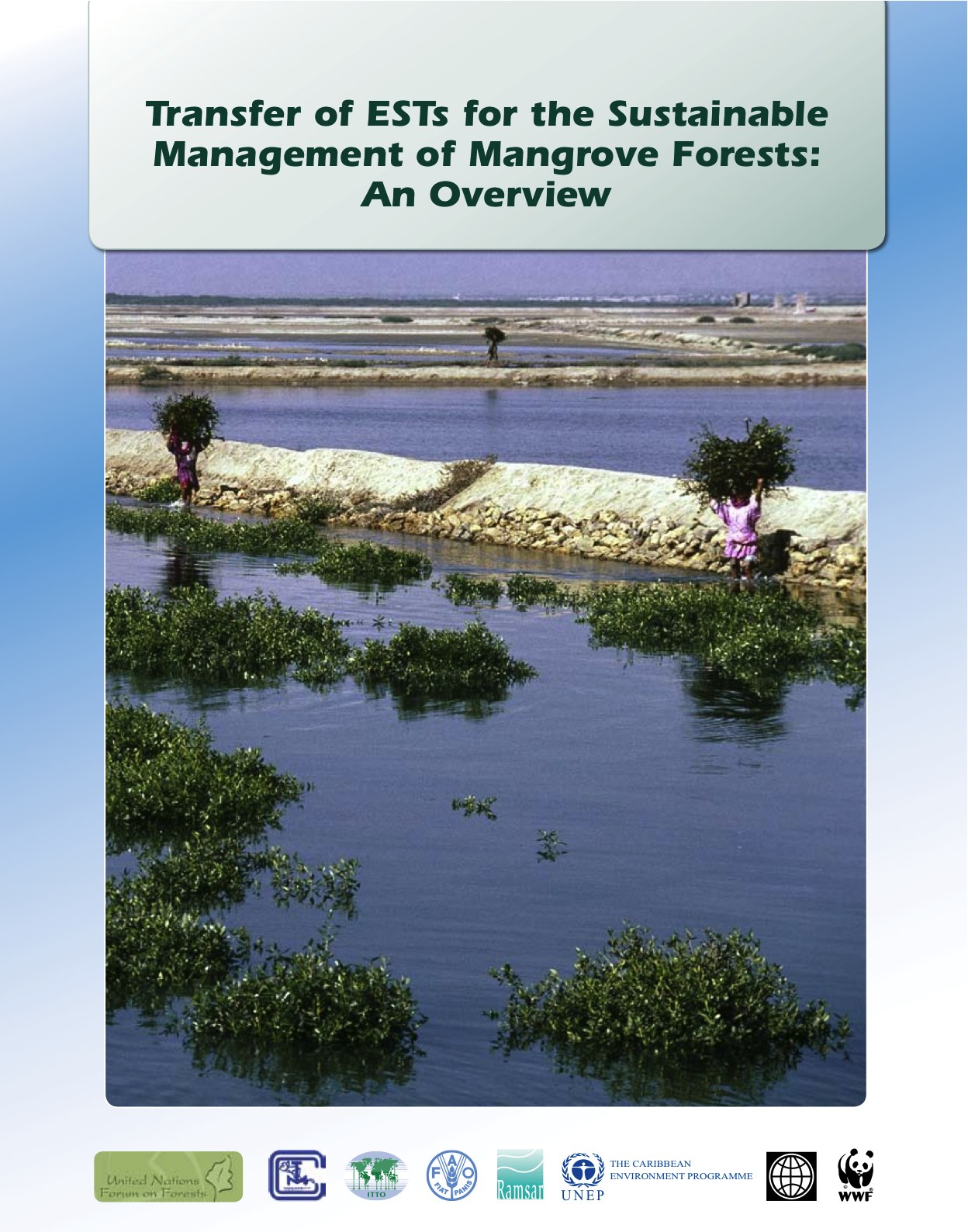 Publicación - Transferencia de Tecnologías Ambientales para el Manejo Sustentable de los Bosques de Manglar: una revisión general