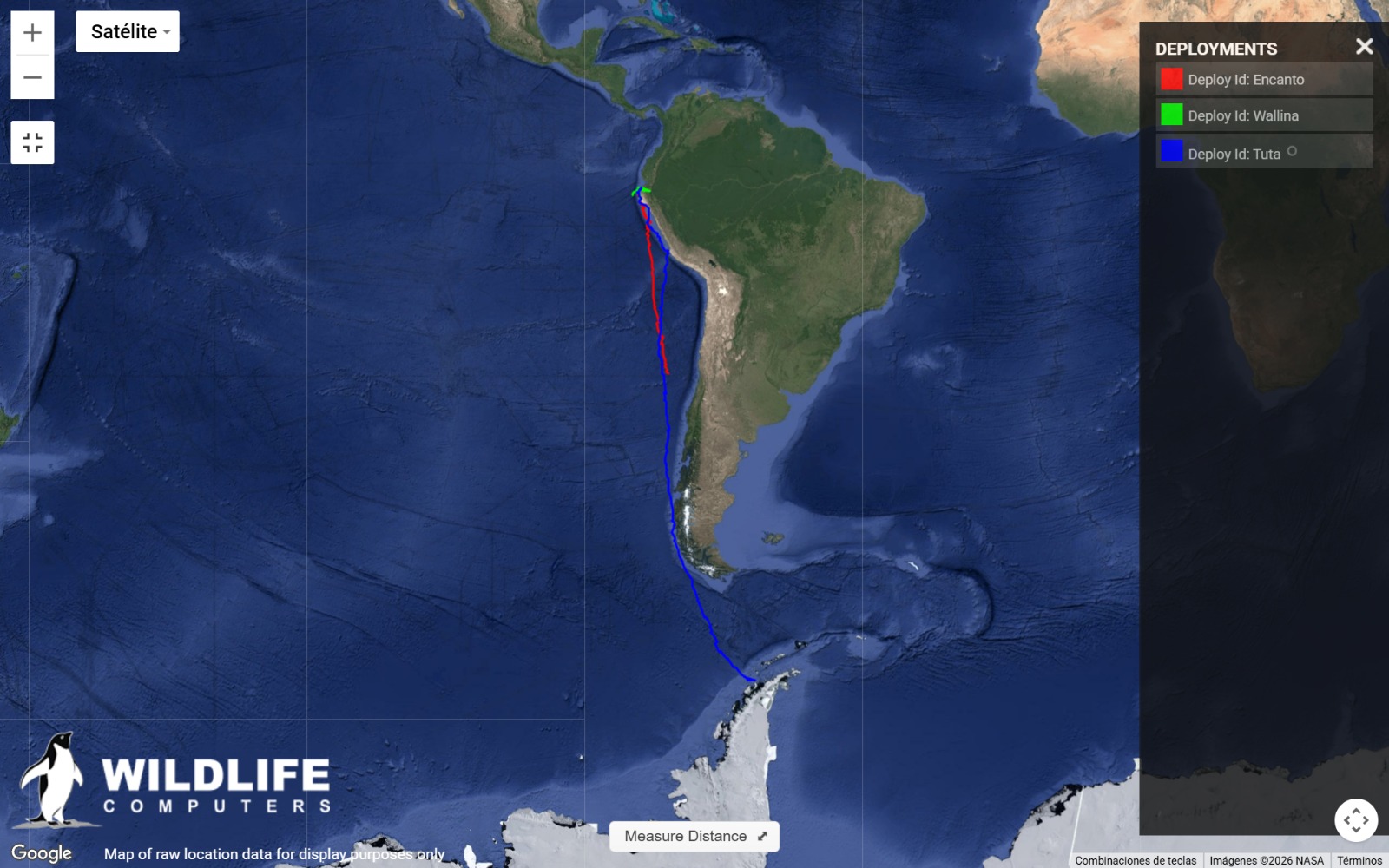 Mapa de rutas de ballenas marcadas.
